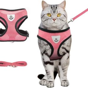 DFORD Summer cat Chest Harness and Leash Anti-Escape Adjustable Soft mesh cat Leash and Chest Harness Set for All Types of Cats cat Vests(Size M Pink)