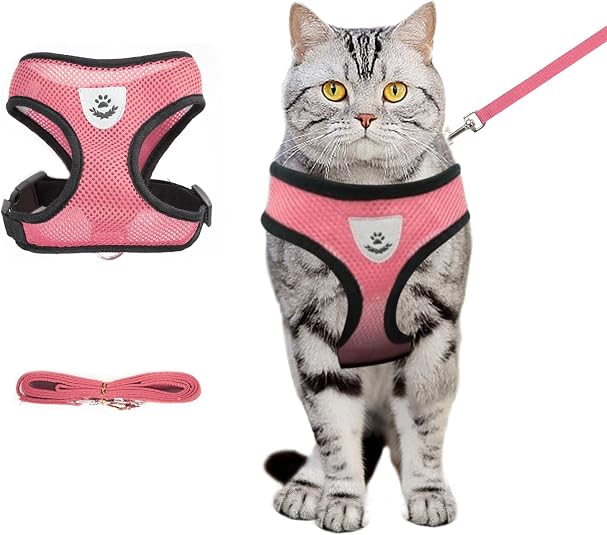 DFORD Summer cat Chest Harness and Leash Anti-Escape Adjustable Soft mesh cat Leash and Chest Harness Set for All Types of Cats cat Vests(Size M Pink)