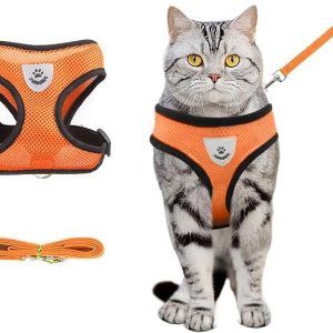DFORD Summer cat Chest Harness and Leash Anti-Escape Adjustable Soft mesh cat Leash and Chest Harness Set for All Types of Cats cat Vests (Size M Orange)