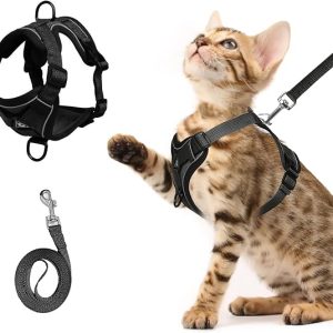 DFORD Cat Chest Harness and Leash Set Adjustable Anti-Escape Soft Mesh Cat Vest for Walking Outdoor(Blcak, M)