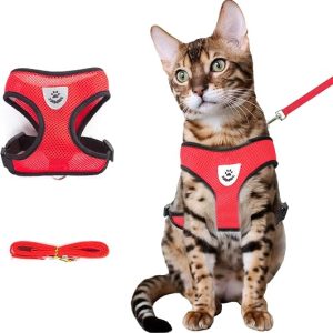 DFORD Summer cat Chest Harness and Leash Anti-Escape Adjustable Soft mesh cat Leash and Chest Harness Set for All Types of Cats cat Vests (Size L Red)