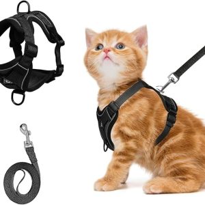 DFORD Cat Chest Harness and Leash Set Adjustable Anti-Escape Soft Mesh Cat Vest for Walking Outdoor (Blcak, S)